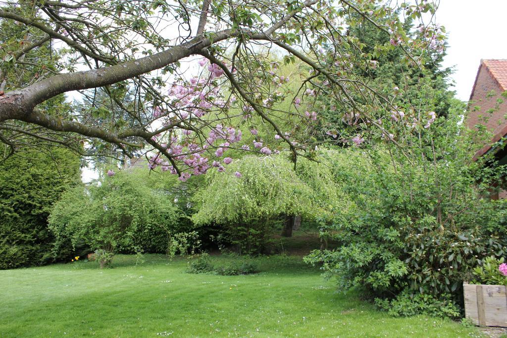 L'Heure Bleue Gites Et Chambres D'Hotes Givenchy-en-Gohelle エクステリア 写真